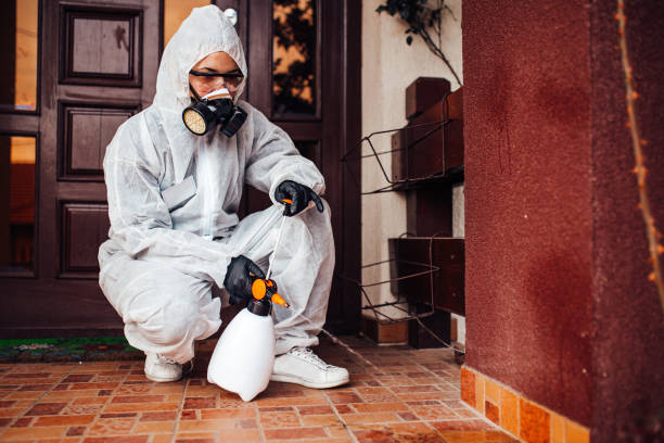 Reliable Mosquito Control contractor in Von Ormy, TX by Show Me Pest Control